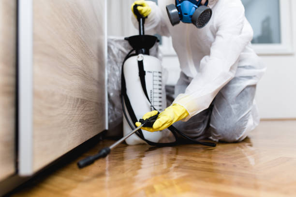 Best Affordable Pest Control Services  in Verona, VA