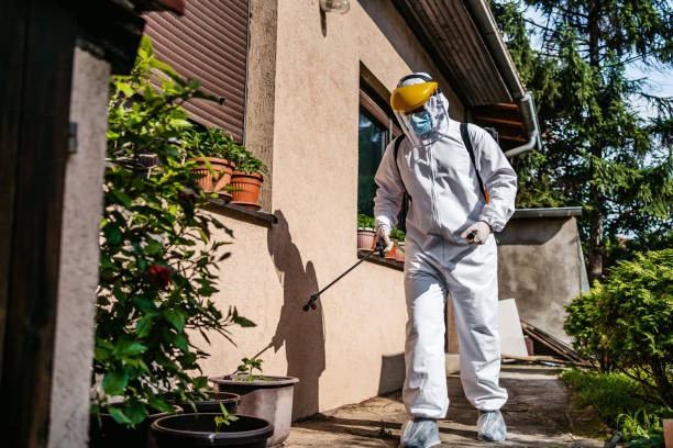 Best Flea Control Services  in Verona, VA