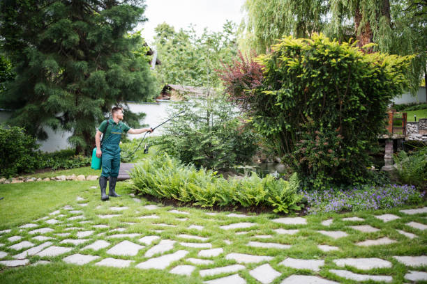 Best Mosquito Control Services  in Verona, VA