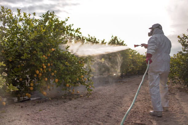 Best Residential Pest Control  in Verona, VA